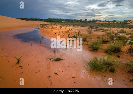 Dunas keine Jalapão, Jalapão, Norte do Brasil. Stockfoto