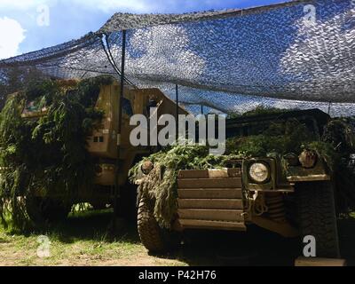 Die beiden Fahrzeuge Gehäuse das Bataillon Hilfe station der 2 Infantry Battalion, 7th Infantry Regiment, 1st Armored Brigade Combat Team, 3d-Infanterie Division. Die 2-7 Infanterie Bataillon wird in Polen für Übung Anakonda 2016, ein polnisch-led, multinationale Übung, die über 31.000 Soldaten aus 24 teilnehmenden Nationen umfasst. (U.S. Armee Foto von 1 Lt Ernest Wang/Freigegeben) Stockfoto