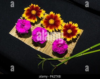 Devon, UK. 19. Juni 2018. Japanische Blume Anzeige an die Otterton Festival Quelle: Peter/Alamy leben Nachrichten Stockfoto