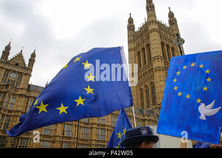 Westminster, London, Großbritannien. 20. Juni 2018 - Pro-EU-Befürworter zeigt außerhalb des Parlaments als Mitglieder des Parlaments Aussprache und Abstimmung später heute auf Brexit Herren Änderungen von der Rücknahme Rechnung. Die Regierung verlor die Abstimmung im Oberhaus über einen Änderungsantrag MPs eine "sinnvolle Abstimmung "auch wenn die Regierung eine Brexit Angebot zu erreichen. Credit: Dinendra Haria/Alamy leben Nachrichten Stockfoto