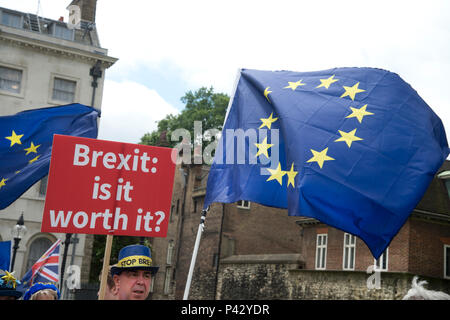 London, Großbritannien. 20. Juni 2018. Demonstranten vor dem Parlament, Westminster, London als Mitglieder des Parlaments der Europäischen Union Rücknahme Bill, 20. Juni 2018. Ein Mann trägt ein Plakat mit der Aufschrift "Brexit, ist es das wert?" Quelle: Jenny Matthews/Alamy leben Nachrichten Stockfoto