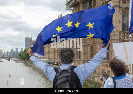 London, Großbritannien; Juni 2018 20; Anti-Brexit Demonstranten auf die Westminster Bridge, skandieren Parolen und Wave Flags an die Mitglieder des Parlaments auf dem House of Commons Terrasse Stockfoto