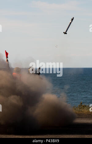 Polnischen Armee Soldat, in den 3. Oberfläche zu Rakete Feuerwehr zugeordnet, feuert eine Grom, ein Man-Portable Air-defense System an einem Training drone während Anakonda 2016 im Bereich komplexer in Ustka Ustka, Polen, 9. Juni 2016. Anakonda 2016 ist ein polnisch-geführten multinationalen Übung, in Polen von Juni 7-17. Diese Übung umfasst mehr als 25.000 Teilnehmer aus mehr als 20 Nationen. (U.S. Armee Foto von Pfc. Casey Dinnison/Freigegeben) Stockfoto