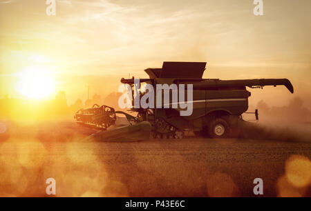 Mähdrescher auf einem Weizenfeld bei Sonnenuntergang Stockfoto