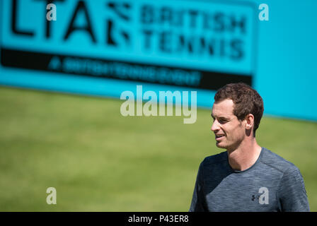 Andy Murray der GBR Training während der Tag 3 des Fieber Baum Tennis Meisterschaften im Queen's Club, London, England am 18. Juni 2018. Foto von Stockfoto