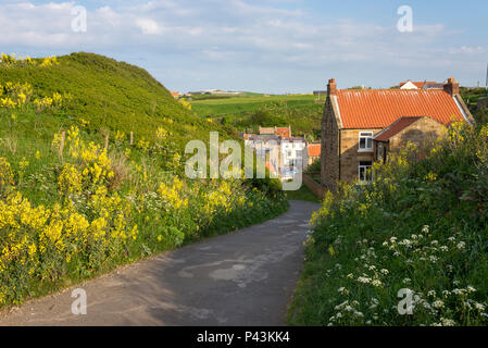 Schmale Gasse an Cowbar oberhalb des Dorfes Staithes in North Yorkshire, England. Stockfoto