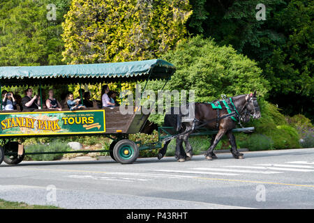 Pferd und Wagen Tour durch den Stanley Park, Vancouver, BC. Kanada. Stanley Park Touren. Stockfoto