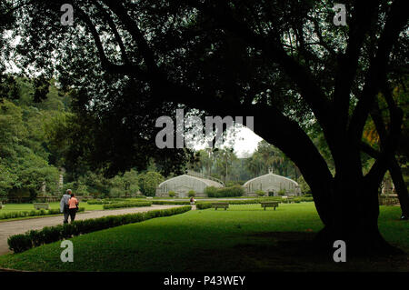 Jardim BotÃ¢nico Durante Pontos turÃ-sticos em SÃ £ o Paulo. SÃƒO PAULO/SP, Brasilien 02/07/2004. (Foto: David Santos Jr/Fotoarena) Stockfoto