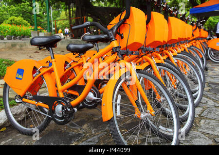 Ciclofaixa do Parque da jaqueira em Recife Recife/PE, Brasilien 12/10/2013. Foto: Carlos Ezequiel Vannoni/Fotoarena Stockfoto