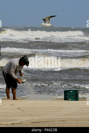 Pescador na Beira da Praia com Gaivota sobrevoando em Tramandai Litoral Norte do Rio Grande do Sul - Foto: Carlos Eduardo Quadros/Fotoarena Stockfoto