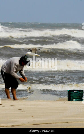 Pescador na Beira da Praia com Gaivota sobrevoando em Tramandai Litoral Norte do Rio Grande Sul - Daten: 31/10/2013 Foto: Carlos Eduardo Quadros/Fotoarena Stockfoto