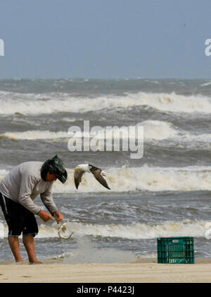 Pescador na Beira da Praia com Gaivota sobrevoando em Tramandai Litoral Norte do Rio Grande do Sul Daten: 31/10/2013 Foto: Carlos Eduardo Quadros/Fotoarena Stockfoto