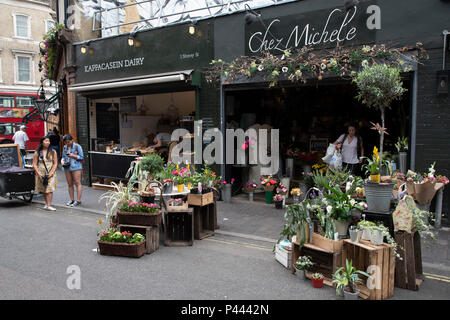 Blumen und Pflanzen am Borough Market in London, England, Vereinigtes Königreich. Borough Market ist ein Retail Food Markt und Bauernmarkt in Southwark. Es ist eines der ältesten und größten Lebensmittelmärkte in London, mit einem Markt auf der Website zurückgehend bis mindestens ins 12. Jahrhundert. Ein Bauernmarkt ist eine physikalische Retail Markt bestimmt sind Lebensmittel, die direkt von den Bauern für die Verbraucher verkaufen. Die Landwirte Märkte können drinnen oder draussen zu sein und bestehen in der Regel aus Ständen, Tabellen oder steht, wo die Bauern verkaufen Obst, Gemüse, Fleisch, Käse, und manchmal auch Lebensmittel und Getränke. Stockfoto