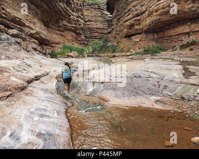 Junge Frau genießen einige backpacking Ausfallzeiten in Einsiedler Creek im Grand Canyon National Park, Arizona. Stockfoto