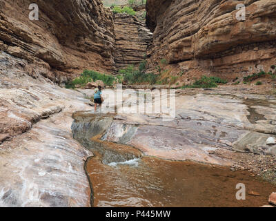 Junge Frau genießen einige backpacking Ausfallzeiten in Einsiedler Creek im Grand Canyon National Park, Arizona. Stockfoto