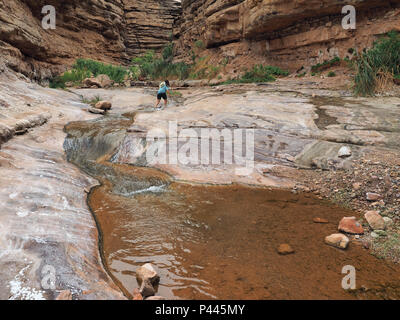 Junge Frau genießen einige backpacking Ausfallzeiten in Einsiedler Creek im Grand Canyon National Park, Arizona. Stockfoto