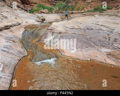 Junge Frau genießen einige backpacking Ausfallzeiten in Einsiedler Creek im Grand Canyon National Park, Arizona. Stockfoto