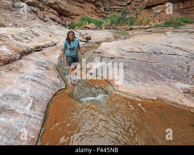 Junge Frau genießen einige backpacking Ausfallzeiten in Einsiedler Creek im Grand Canyon National Park, Arizona. Stockfoto