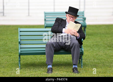 Eine racegoer in einem Hut liest ein Rennen Karte während der Tag zwei des Royal Ascot Hotel in Ascot Pferderennbahn Stockfoto