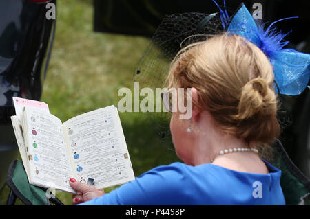 Eine racegoer liest ein Rennen Karte während der Tag zwei des Royal Ascot Hotel in Ascot Pferderennbahn. Stockfoto