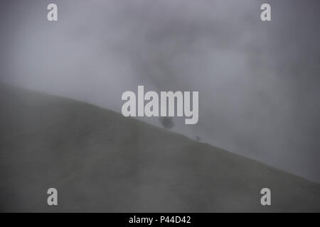 Silhouette einer solitären mystischen Baum auf dem Hügel Stockfoto