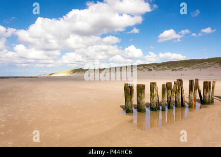 Reihe der Strand Poller in Linie auf einem typischen holländischen Strand an der Küste von Schoorl, Niederlande Stockfoto