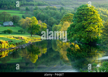 Spiegelungen auf dem Wasser und Ufer Bäume spiegelt sich auf Ruhe, Stille, Scenic, River Wharfe an sonnigen Abend - Wharfedale, North Yorkshire, England, UK. Stockfoto