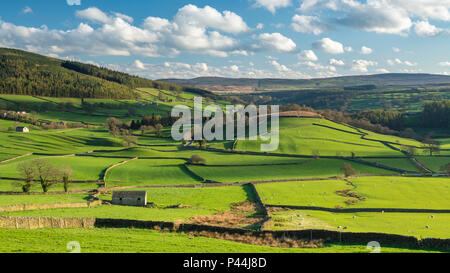 Unter dramatischen blauer Himmel, malerischen Blick auf Wharfedale (isolierten Scheunen & grünen Weide in sonnendurchfluteten Tal) - Yorkshire Dales, England, Großbritannien Stockfoto