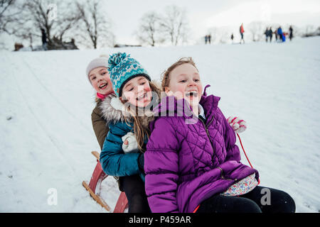 Drei kleine Mädchen sitzen auf einem Schlitten zusammen, Bergabfahren im Schnee. Stockfoto