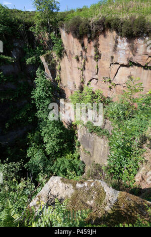 Steile Felswand eines ausgegrabenen stillgelegt Steinbruchs in Bewerley Moor, Harrogate, North Yorkshire, England, Großbritannien. Stockfoto