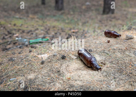 Glasflaschen und Abfälle in Pinewood geworfen. . Umweltverschmutzung. Müll im Wald. Schädliche Natur beschädigt werden. Stockfoto