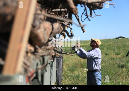 Richard Reich, ein Tischler für Cheyenne River Housing Authority, Releases einen Gurt an einem M915A 3 Line-Haul Traktor von der 1244th Transportation Company, Oklahoma Army National Guard, Holz für Native Americans in Unterstützung der 2016 goldenen Coyote Übung in Eagle Butte, S.D., 15. Juni 2016 zu liefern. Die goldenen Coyote Übung ist eine dreiphasige, Szenario-driven Übung in den Black Hills von South Dakota und Wyoming, mit dem Kommandanten auf der Mission wesentliche Anforderungen der Aufgabe, Krieger Aufgaben und Übungen zu konzentrieren. (U.S. Armee Foto von Pfc. Therell Frett/Freigegeben) Stockfoto