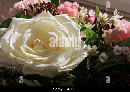 Blumenstrauß mit einer weißen Rose Stockfoto
