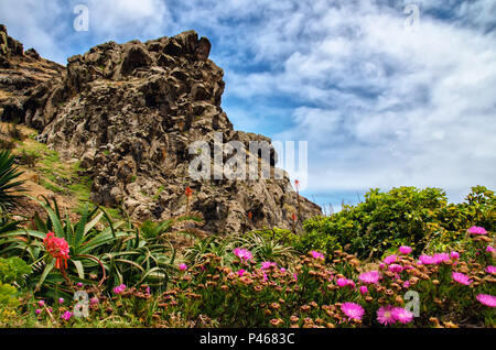 Steilen Hängen der Insel Madeira Berge von Bunt blühende rote und rosa Blüten bedeckt und von Wolken umgeben. Grußkarte Hintergrund mit Cop Stockfoto