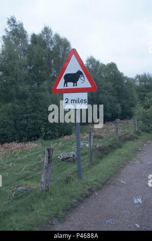 Ein straßenschild in England - das Zeichen Warnung der Kühe auf der Straße hat zu einem Elefanten geändert worden Stockfoto