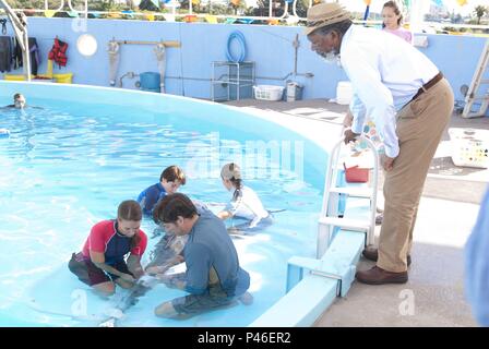 Original Film Titel: Dolphin Tale. Englischer Titel: Dolphin Tale. Regisseur: Charles Martin Smith. Jahr: 2011. Stars: Morgan Freeman; Harry Connick jr.; NATHAN GAMBLE; AUSTIN HIGHSMITH; BETSY LANDIN. Quelle: ALCON ENTERTAINMENT/Album Stockfoto