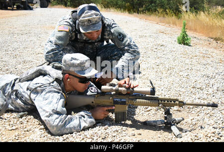 Soldaten des 1.BATAILLON, 294 Infanterie Regiment Guam Army National Guard die nötigen Anpassungen vor Nutzung der M110 semi-automatischen Sniper system Sniper Training während der Exportierbaren Kampftraining Fähigkeit Übung durchzuführen 13. Juni im Camp Roberts, Kalifornien. XCTC konzentriert sich auf Komplett Instrumental- und realistische gemeinsame Aus- und Fortbildung Platoon & Unternehmen Ausbildung Kenntnisse in Abstimmung mit der ersten Armee zu zertifizieren. Kommandanten und Führungskräfte beurteilen ihre Soldaten Stärken und Schwächen während ein Video Review Sitzung nach der Ausbildung, die in ihrem Heimatland ihre Deutschkenntnisse Aids als champagnerkelch Stockfoto