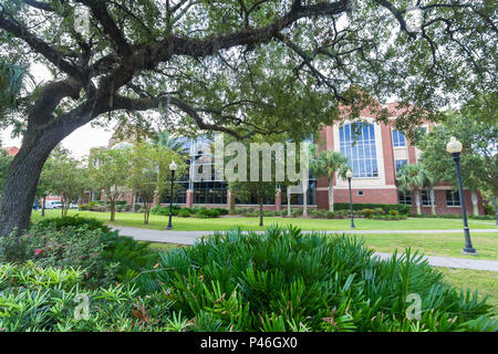 Bibliothek West an der Universität von Florida am 12. September 2016 in Gainesville, Florida. Stockfoto