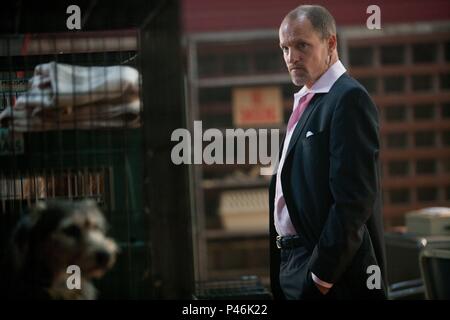 Original Film Titel: sieben Psychopathen. Englischer Titel: sieben Psychopathen. Film Regie: Martin MCDONAGH. Jahr: 2012. Stars: Woody Harrelson. Credit: BLUEPRINT BILDER / Album Stockfoto