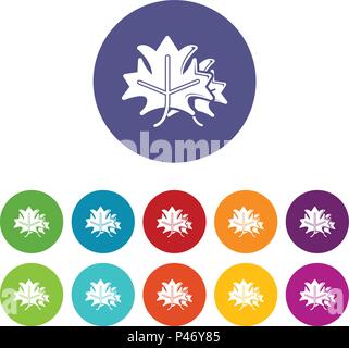 Ahorn Icons Set Vector Farbe Stock Vektor