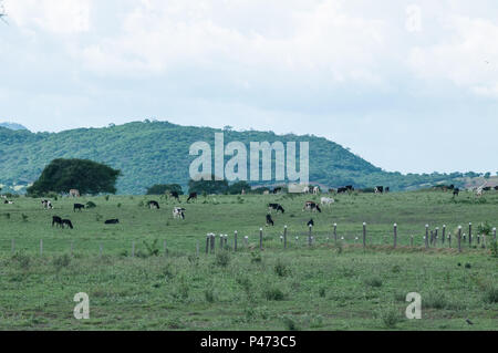 GUANAMBI, BAHIA - 20/12/2014: E PAISSAGENS LOCAIS DO MUNICÍPIO DE GUANAMBI - PAISAGEM. (Foto: mourão Panda/Fotoarena) Stockfoto