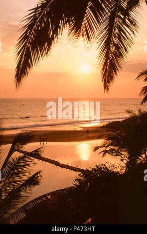 Kerala, Indien; Malabar-Küste mit Palmen bei Sonnenuntergang Stockfoto