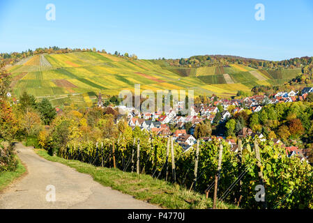 Weinberge bei Stuttgart Uhlbach im Neckartal - schöne Landschaft im Herbst in Deutschland Stockfoto