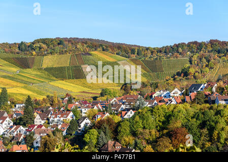 Weinberge bei Stuttgart Uhlbach im Neckartal - schöne Landschaft im Herbst in Deutschland Stockfoto