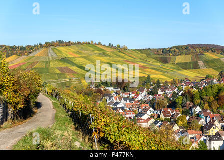 Weinberge bei Stuttgart Uhlbach im Neckartal - schöne Landschaft im Herbst in Deutschland Stockfoto