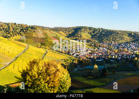 Weinberge bei Stuttgart Uhlbach im Neckartal - schöne Landschaft im Herbst in Deutschland Stockfoto