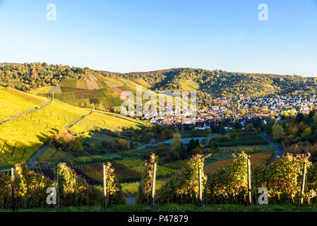 Weinberge bei Stuttgart Uhlbach im Neckartal - schöne Landschaft im Herbst in Deutschland Stockfoto