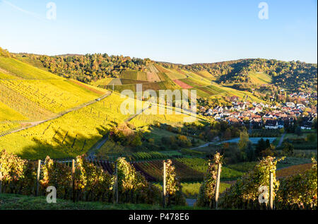 Weinberge bei Stuttgart Uhlbach im Neckartal - schöne Landschaft im Herbst in Deutschland Stockfoto