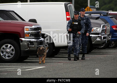 160621-N-DC 740-013 Oak Harbor, Washington (21. Juni 2016) Master-at-Arms 2. Klasse Lindsey Bakke und militärischen Gebrauchshund (MWD) Fien suche einen Parkplatz während einer explosivstoffabfragung Training übung an der Naval Air Station Whidbey Island. (U.S. Marine Foto von Mass Communication Specialist 2. Klasse John hetherington/Freigegeben) Stockfoto