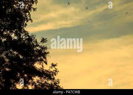 Abend Landschaft mit kontrastierenden Sonnenuntergang Himmel. Abstrakte Natur Hintergrund. Stockfoto